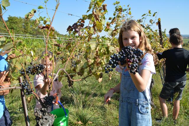 Foto: Jennifer Flechl