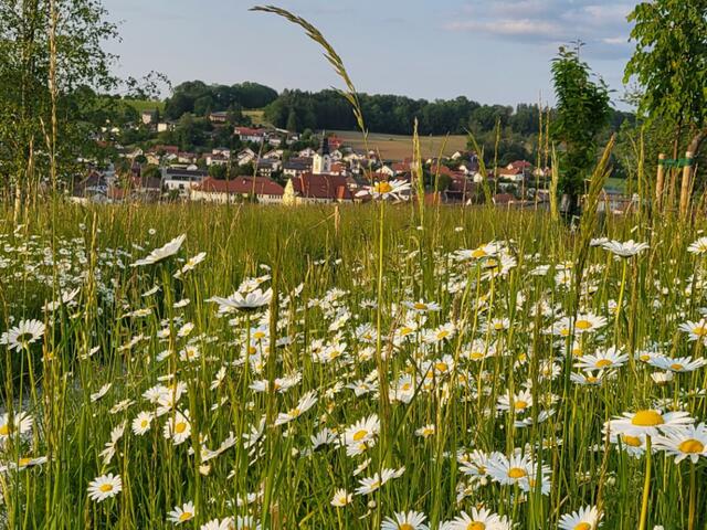 Foto: Bestattung Aichinger
