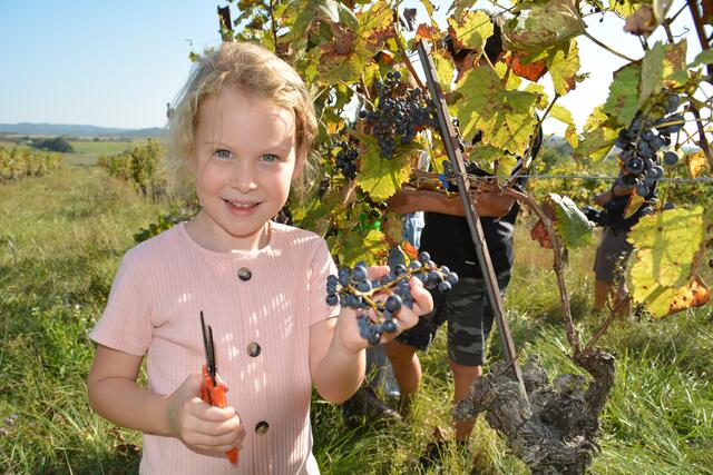 Die aktive Einbindung der Kinder durch unterschiedliche Aktivitäten schafft eine innige Bindung zur Natur. | Foto: Jennifer Flechl