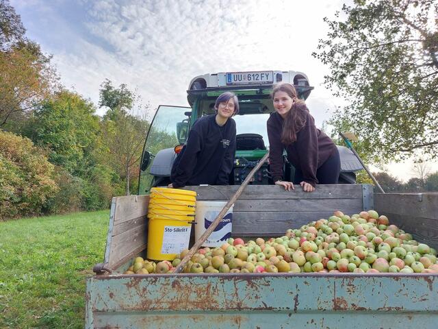 Die Schülerinnen sammelten fleißig Obst und verarbeiteten dieses. | Foto: FS Bergheim