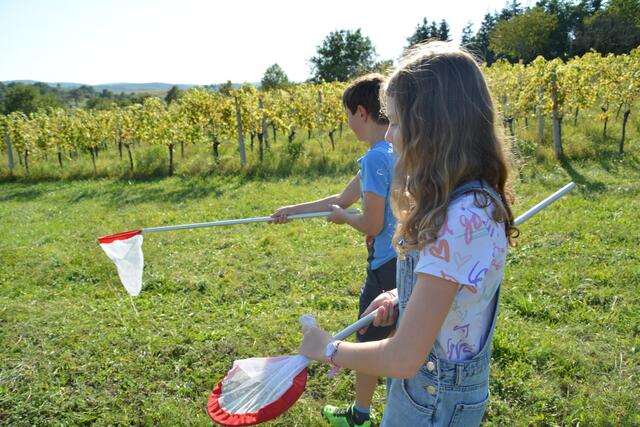 Foto: Jennifer Flechl