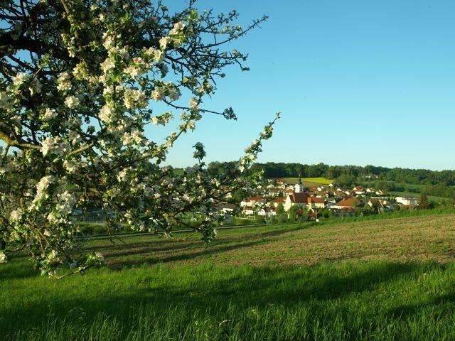 Foto: Bestattung Aichinger