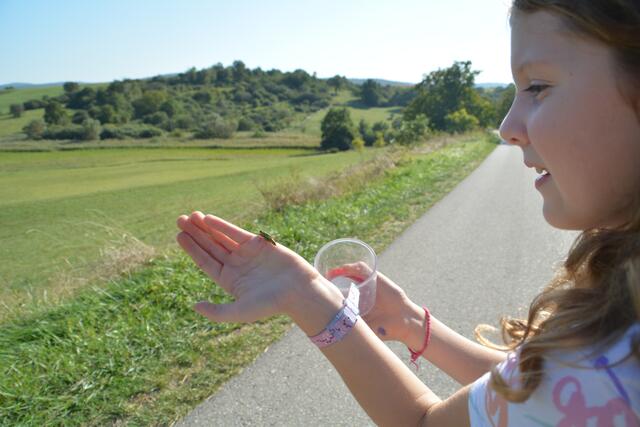 Foto: Jennifer Flechl