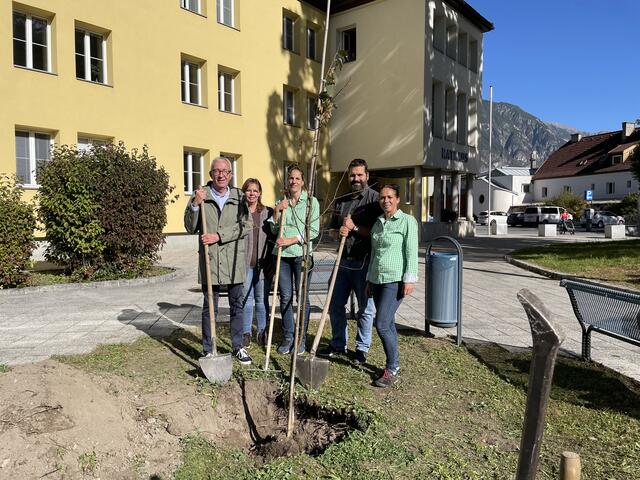 Der Jubiläumsbaum wurde vor dem Rathaus eingepflanzt. | Foto: Stadtgemeinde Landeck