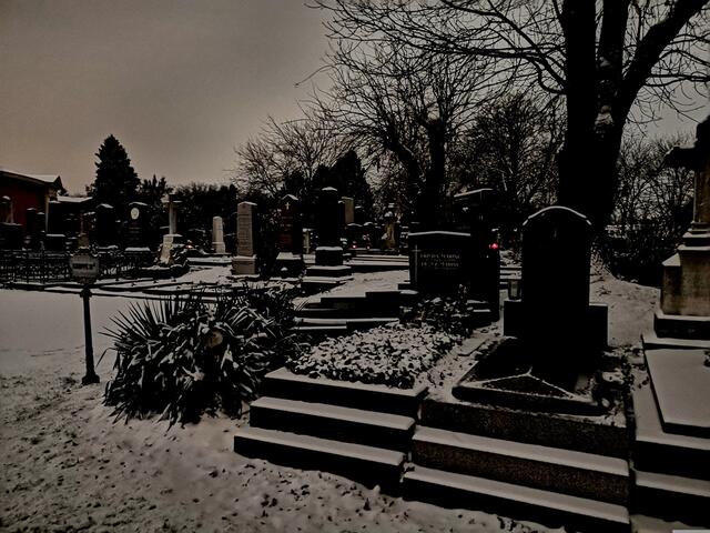 Als der Zentralfriedhof im Jahr 1874 eröffnet wurde, gab es ein Imageproblem: Niemand wollte dort begraben werden. | Foto: Gabi Tours