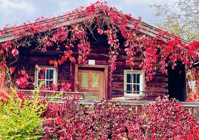 PillerseeTal - eine sprichwörtlich bunte Region... | Foto: Kogler