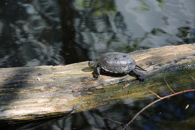 Foto: Benedikt Reisner