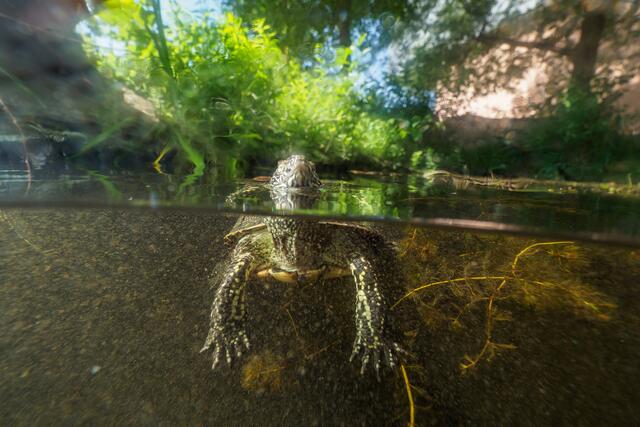 Foto: Benedikt Reisner
