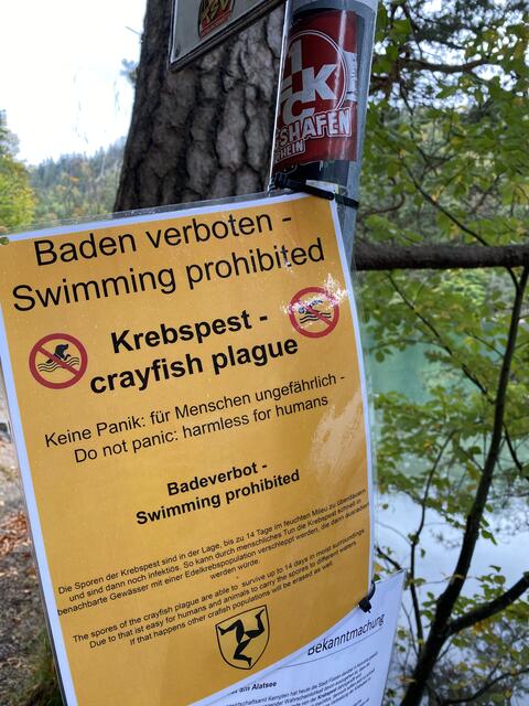 Nicht zu übersehen: Schilder weisen auf die Problematik der Krebspest am Alatsee hin. | Foto: Reichel