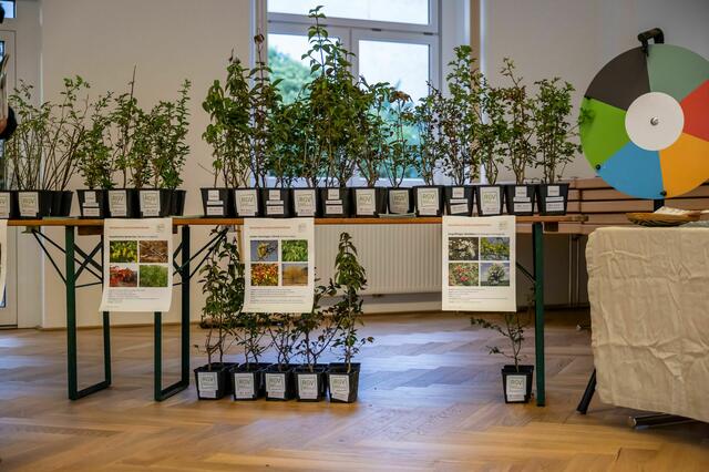 Foto: Stefan Germershausen