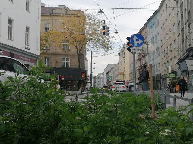 Der fertiggestellte Abschnitt erstreckt sich über 400 Meter von der Schönbrunner Straße bis zur Arbeitergasse und trumpft mit breiten Gehwegen, Entsiegelung und Begrünung auf. | Foto: Wendtner
