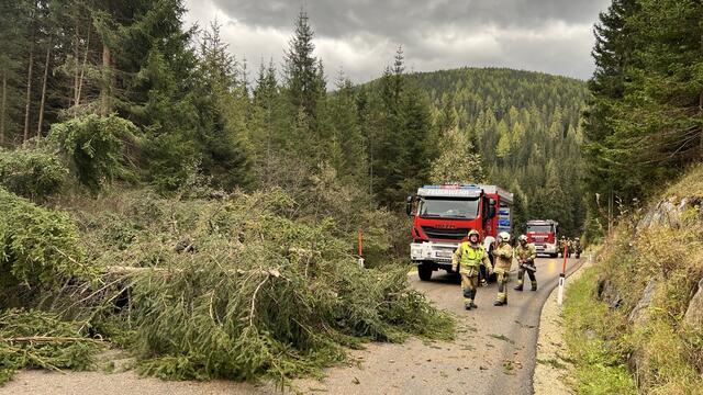 Die Preberstraße war durch umgestürzte Bäume verlegt | Foto: Feuerwehrbezirk Lungau