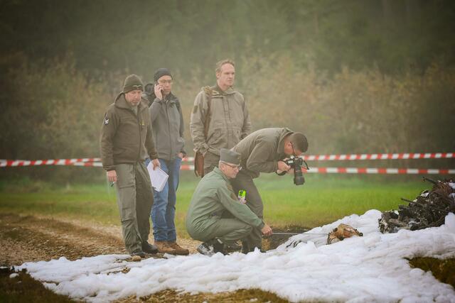 Foto: Pressefoto Scharinger