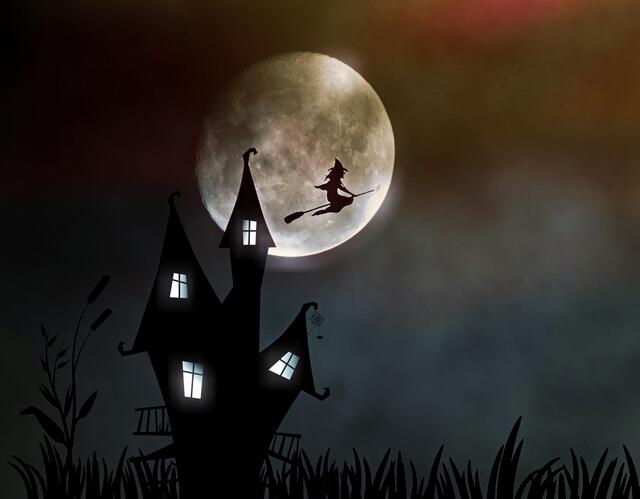 Halloween ist nicht mehr weit! Gruselfans können sich am 30. Oktober in der Volkshochschule Landstraße beim Vortrag "Hexen und Vampire im TV" einstimmen.
 | Foto: Cocoparisienne