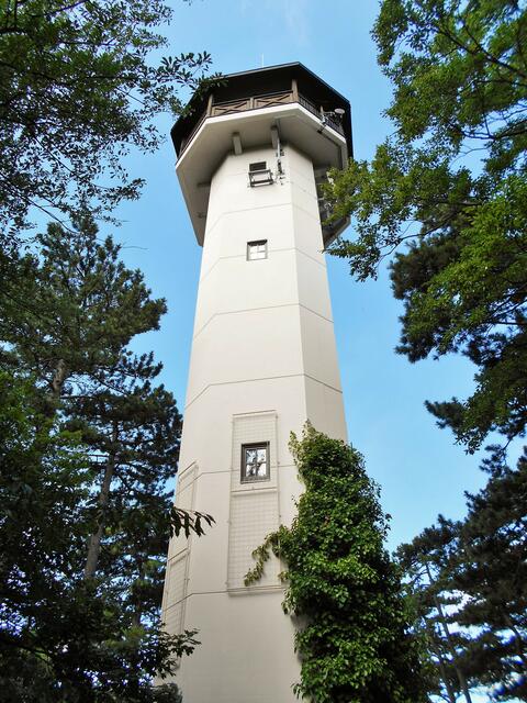 ... von der Franz-Bichler-Warte bietet sich ein weitreichender Ausblick. | Foto: © Silvia Plischek