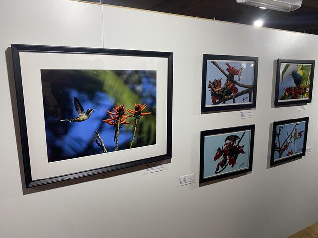 Die Fotografien können noch bis 11. November bewundert werden. | Foto: Laura Jung