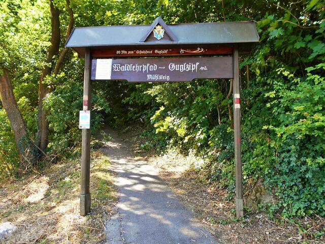 Eingang zum Waldlehrpfad Guglzipf - Aufstieg über den Mühlsteig. ... | Foto: © Silvia Plischek