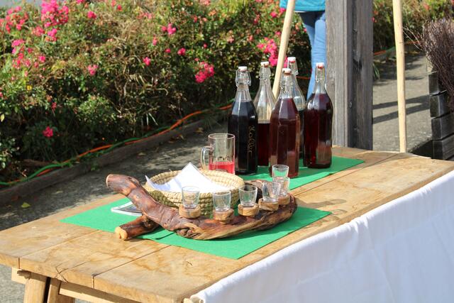 Foto: RegionalMedien Steiermark