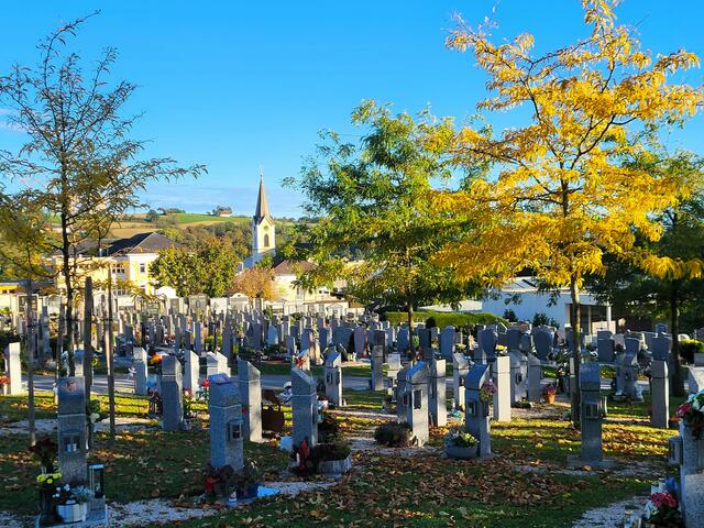 Downsizing: Das oppulente Familiengrab an der Friedhofswand  wird immer mehr von der Bestattung im "lebenden" Baumkreis ersetzt. | Foto: Eckhart Herbe