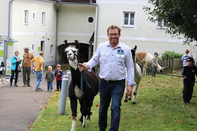 Die kleinen Gäste konnten beim GenussFest eine kleine Runde mit den Lamas drehen. | Foto: RegionalMedien Steiermark