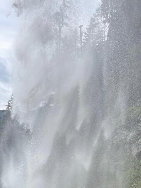 Was ist hier auf dem Bild zu sehen? | Foto: Regionalmedien Salzburg