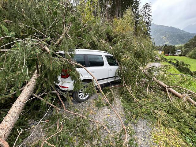 Am Freitag zu Mittag forderte der Föhnsturm in Landeck ein Todesopfer. Ein 86-Jähriger wurde auf einem Forstweg von einem Baum umstürzenden Baum tödlich getroffen. | Foto: ZOOM.Tirol