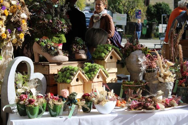 Foto: RegionalMedien Steiermark