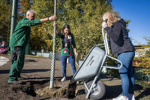 Einen weiteren besonderen Programmpunkt bildet in diesem Jahr die Baumpflanzung gegen Gewalt an Frauen. Die Schülerin Hannah Heinrich von der HBLA Ursprung pflanzte gemeinsam mit Isabel Bojanovsky von der städtischen Sozialplanung und dem Team der Friedhofspflege eine Zierkirsche im neuen Lebensgarten. Im Zuge der Pflanzung wird auf das Thema Gewaltschutz aufmerksam gemacht | Foto: Stadt Salzburg/Doris Wild/Wildbild