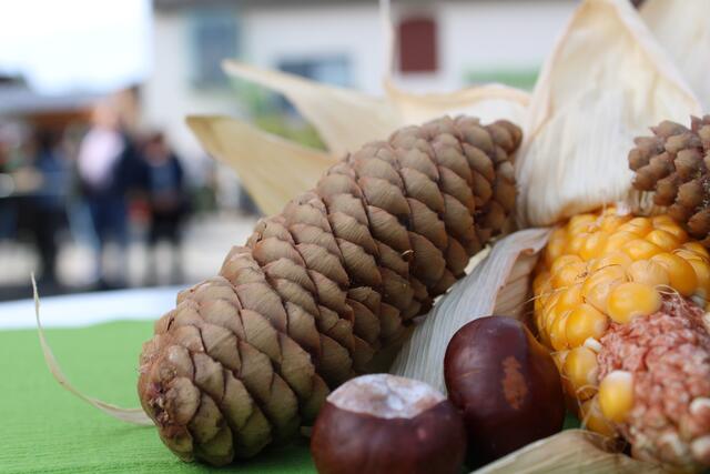 Foto: RegionalMedien Steiermark