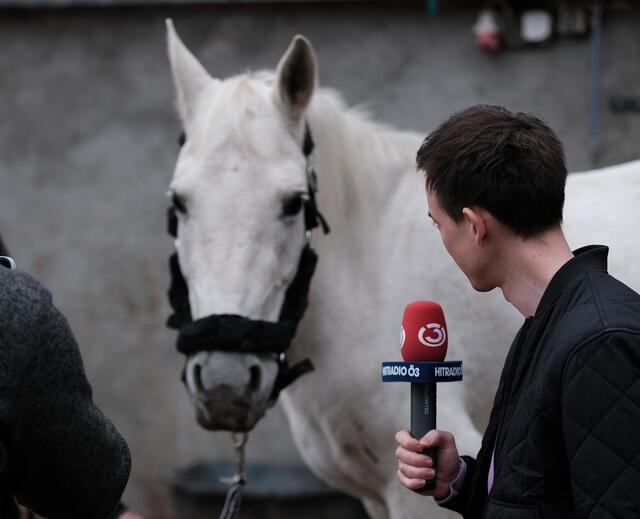 Foto: Jakob Hanner