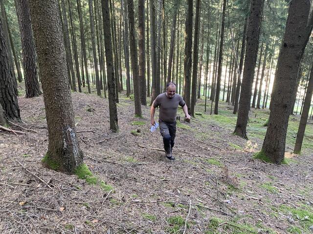 Pilzwanderung durch den Wald