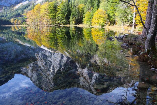 GOLDENER HERBST