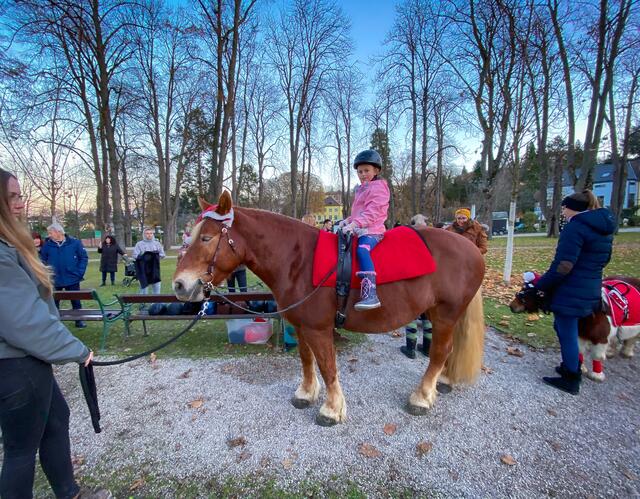 Jeden Sonntag: Ponyreiten.