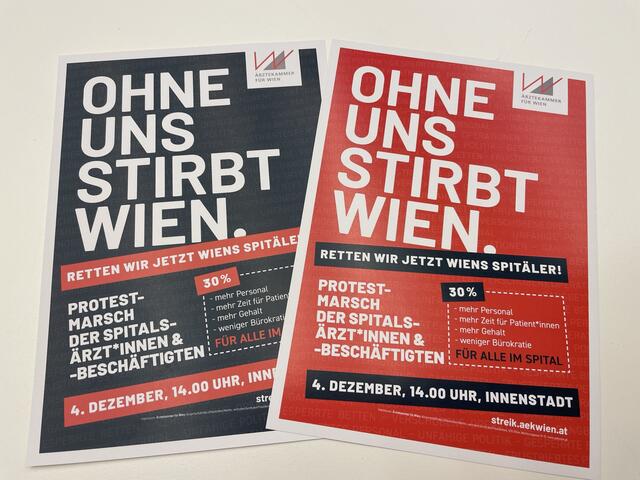 Am Montag, 4, Dezember, soll ab 14 Uhr ein Protestmarsch der Wiener Spitalsärztinnen und -ärzte stattfinden. | Foto: Antonio Šećerović/RMW