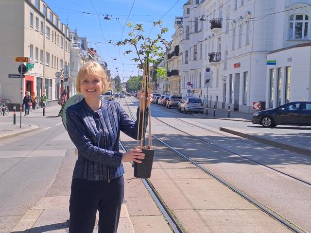 Silke Kobald freut sich auf die Erweiterung der Allee in der Hietzinger Hauptstraße. | Foto: BV Hietzing