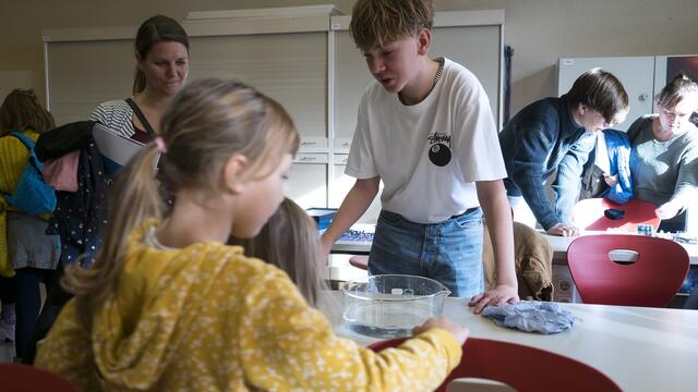 Foto: Bundesgymnasium Babenbergerring
