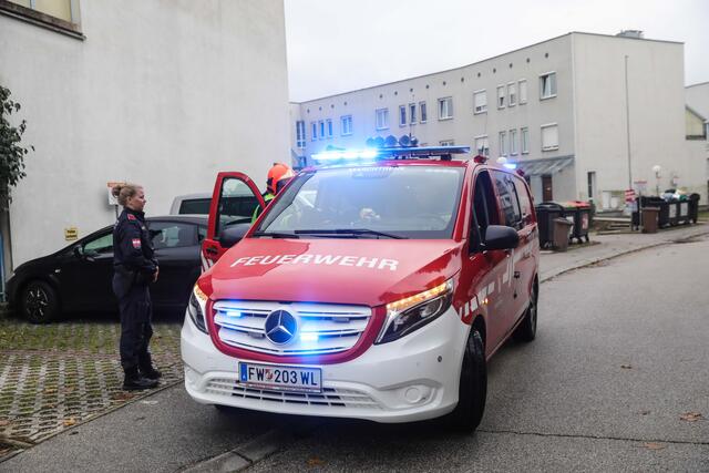 Katze in Marchtrenk verweigert Rettung: Der Stubentiger entzog sich prompt der Hilfe der Einsatzkräfte. | Foto: laumat.at