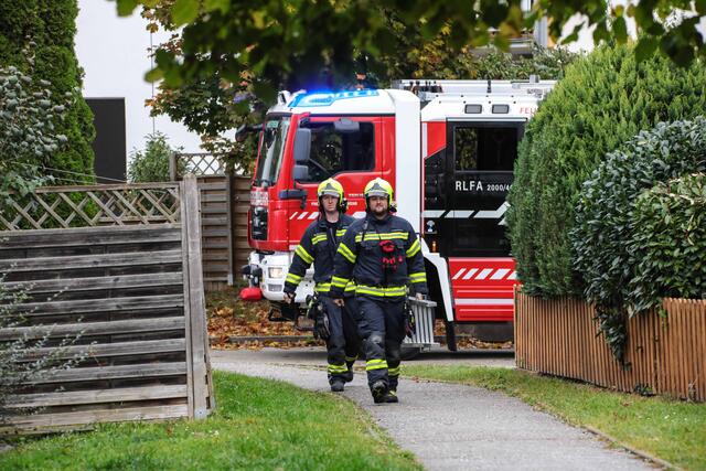 Katze in Marchtrenk verweigert Rettung: Der Stubentiger entzog sich prompt der Hilfe der Einsatzkräfte. | Foto: laumat.at