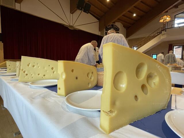 Die Käse wurden von 39-köpfiger Jury bewertet. | Foto: Kogler