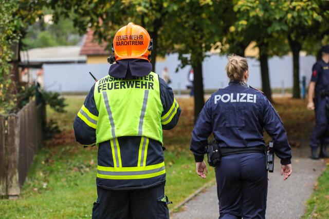 Katze in Marchtrenk verweigert Rettung: Der Stubentiger entzog sich prompt der Hilfe der Einsatzkräfte. | Foto: laumat.at