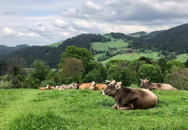 Am Edler-Hof, im Bezirk Voitsberg, wird von der engagierten Hofgemeinschaft nach den Prinzipien des biologisch-dynamischen Landbaus gearbeitet.  | Foto: Demeter-Hof Edler