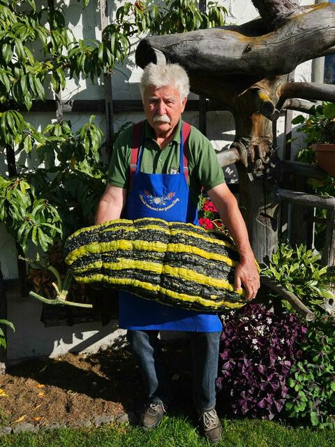 Stolze 28.522 Gramm brachte der Zucchini von Manfred Gartner auf die Waage. Das bescherte ihm den Landessieg in der Kategorie "OGV-Mitglied Erwachsene". | Foto: Grünes Tirol