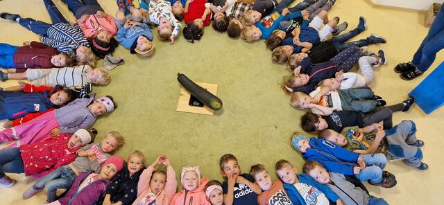 Käfer, Mäuse und Frösche des KG Pflach. | Foto: OGV