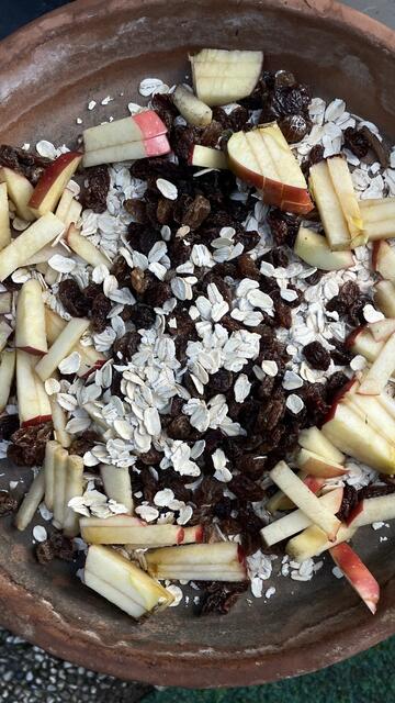 Rosinen, kleingeschnittene Äpfel und grobe Haferflocken lieben besonders die Amseln!