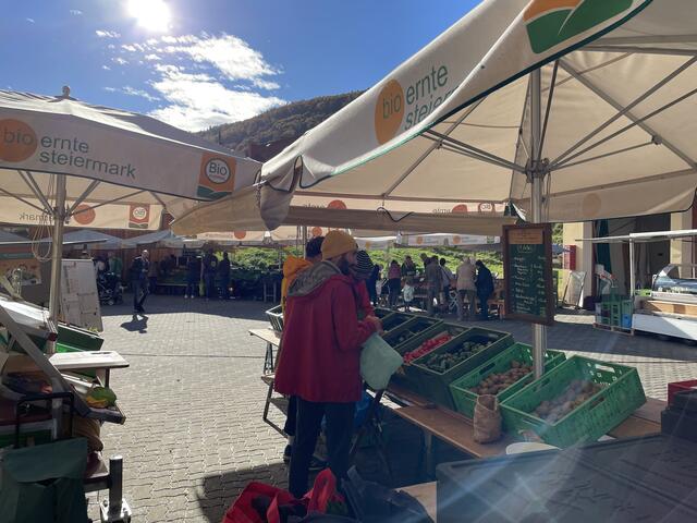 Mit Obst, Gemüse, Honig oder Milchprodukte direkt vom biologischen Bauernhof versorgt die SoLaKo knapp 200 Steirerinnen und Steirern jede Woche. | Foto: MeinBezirk.at