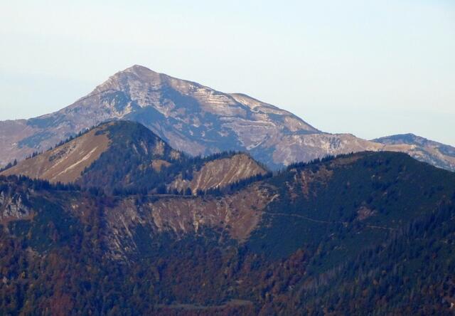 Der mächtige Dürrenstein