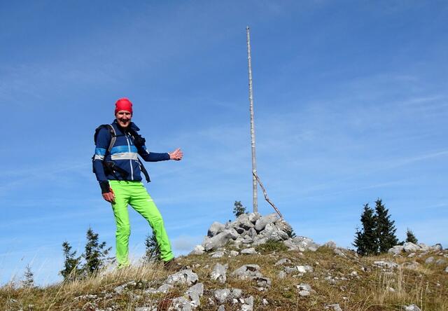 Ich mache noch einen Abstecher zum Gipfel des Schneekogels, der mit einem Steinmannderl samt "Gipfelstange" markiert ist.