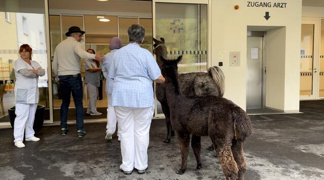 Foto: Celina Leitner