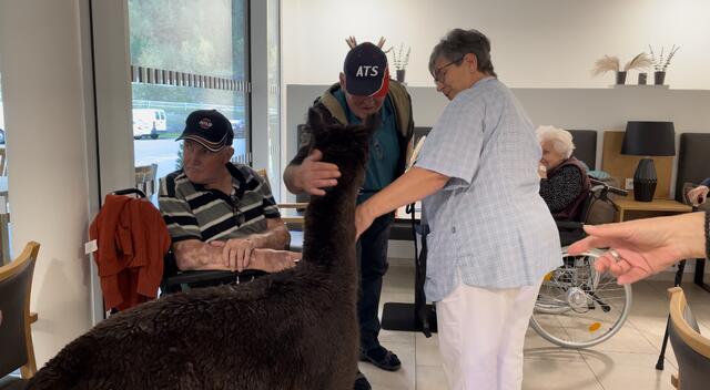 Foto: Celina Leitner