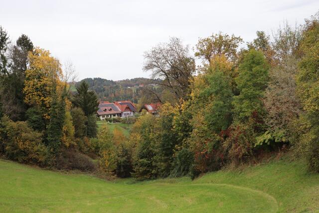 Foto: Edith Ertl
